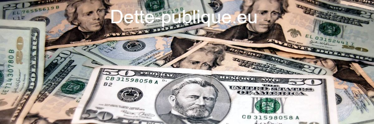 dette-publique.eu
